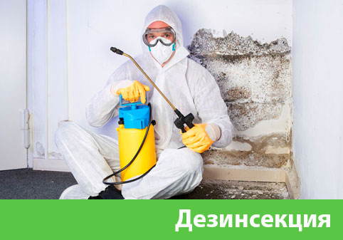 Дезинсекция в городе Волжский