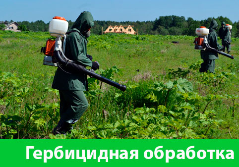 Гербицидная обработка в городе Волжский