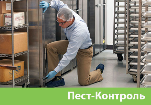 Пэст-Контроль в городе Волжский