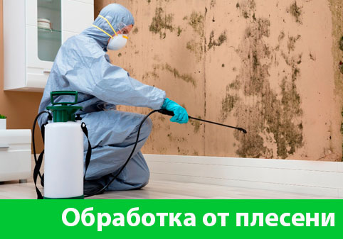 Обработка от плесени в городе Волжский