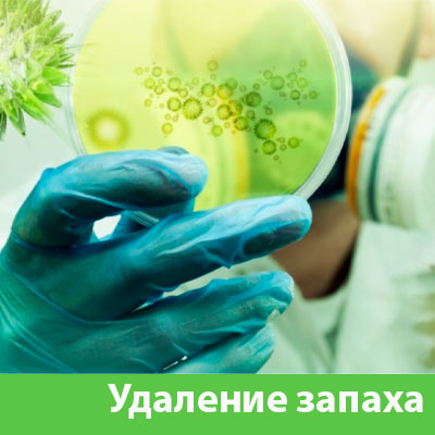 Удаление запахов в Волжском