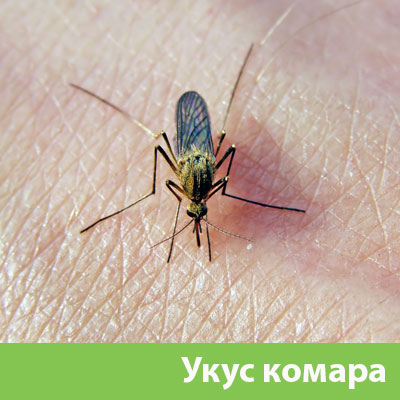 Укусы комаров в Волжском