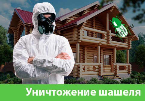 Уничтожение шашеля и личинок в Волжском