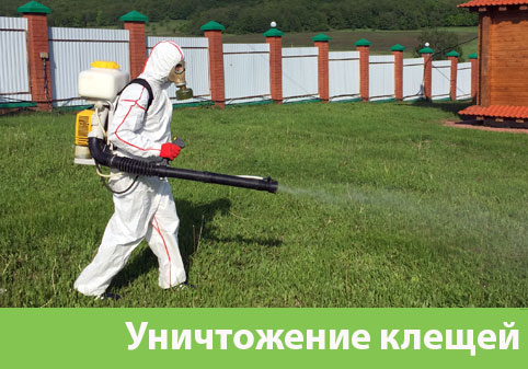 Уничтожение клещей в городе Волжский